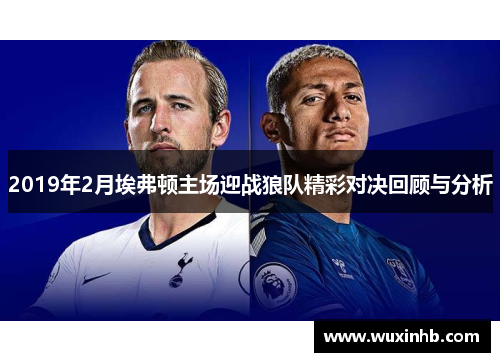 2019年2月埃弗顿主场迎战狼队精彩对决回顾与分析